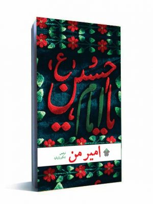 کتاب امیر من