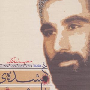 گمشده مزار شریف