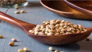 خواص تخم گشنیز