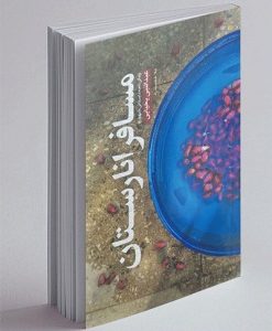 کتاب مسافر انارستان